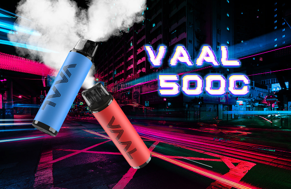 vaal vape VAAL 800 Disposable 800 Puffs Cheap Online main image 0