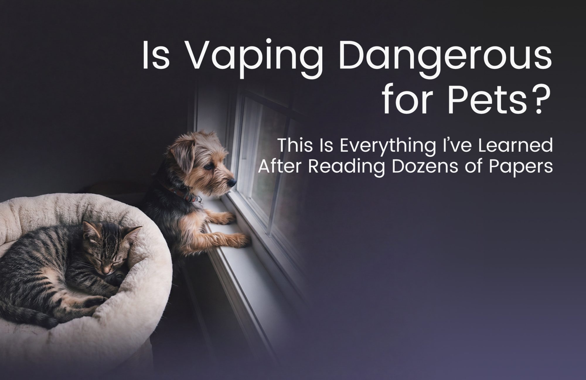 Is Vaping Dangerous for Pets? This Is Everything I've Learned After Reading Dozens of Papers