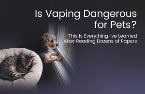 Is Vaping Dangerous for Pets? This Is Everything I've Learned After Reading Dozens of Papers