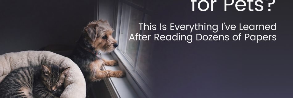 Is Vaping Dangerous for Pets? This Is Everything I've Learned After Reading Dozens of Papers