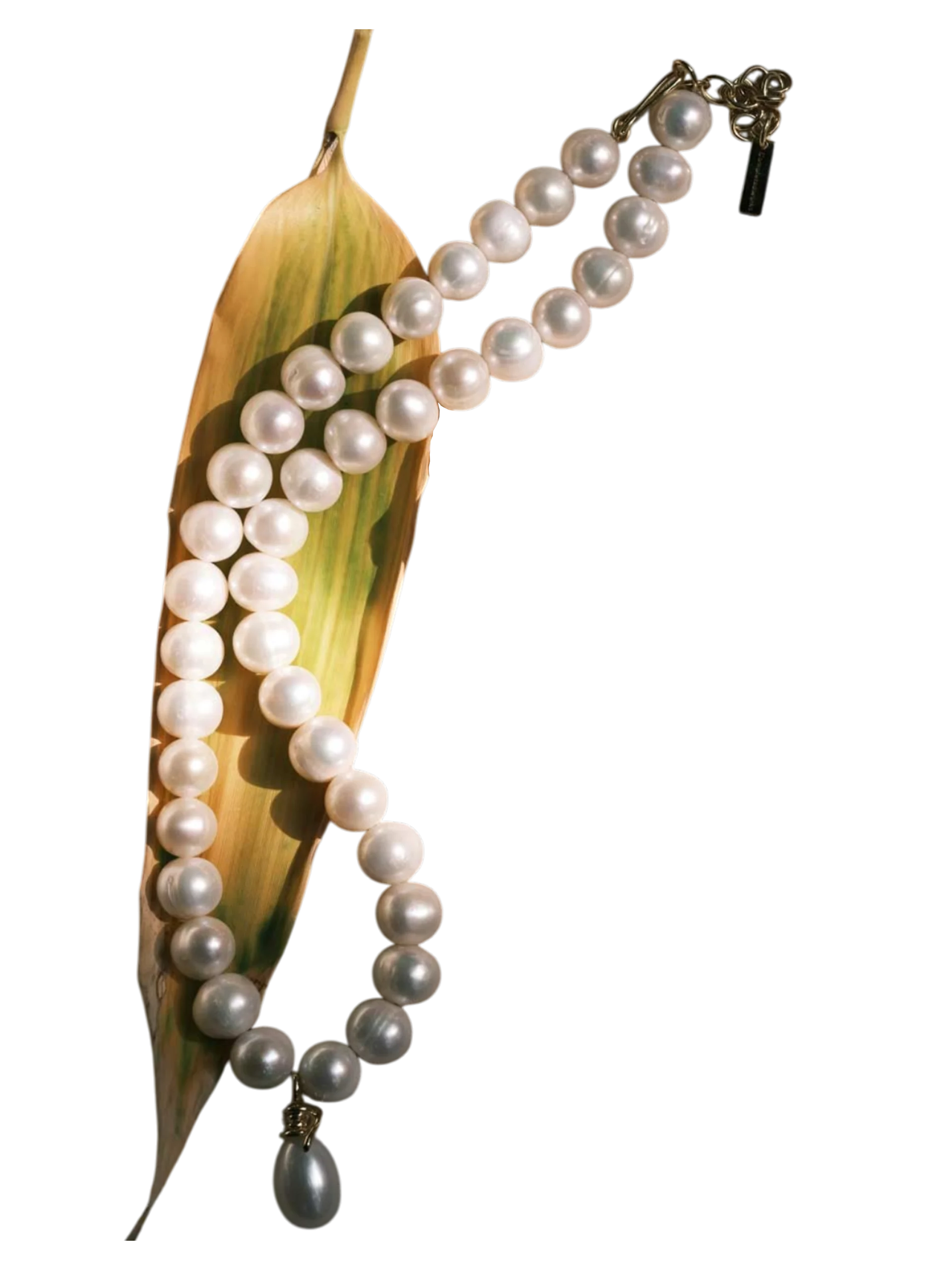 Pearl jewelry